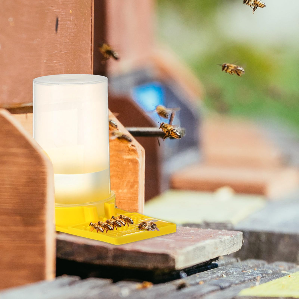 Willinglong 12-pack feeders for outdoor beekeeping, quick deployment.