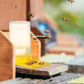 Willinglong 12-pack feeders for outdoor beekeeping, quick deployment.