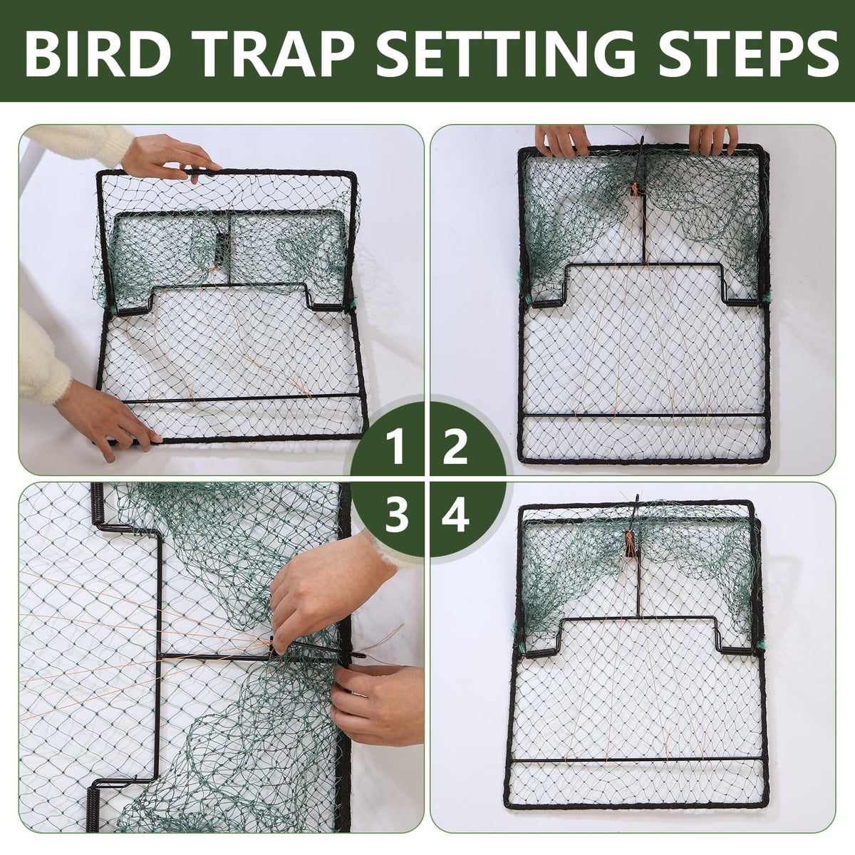 WillMesh durable steel bird trap coating seen on close-up finish