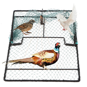 WillMesh humane bird trap in full setup ready for placement and safe capture