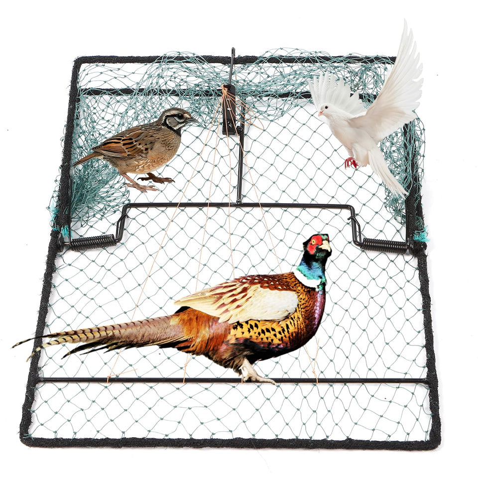 WillMesh humane bird trap in full setup ready for placement and safe capture