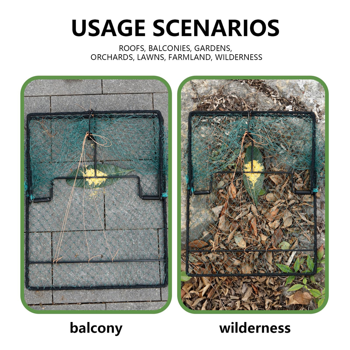 WillMesh humane bird trap in outdoor garden setup for humane management