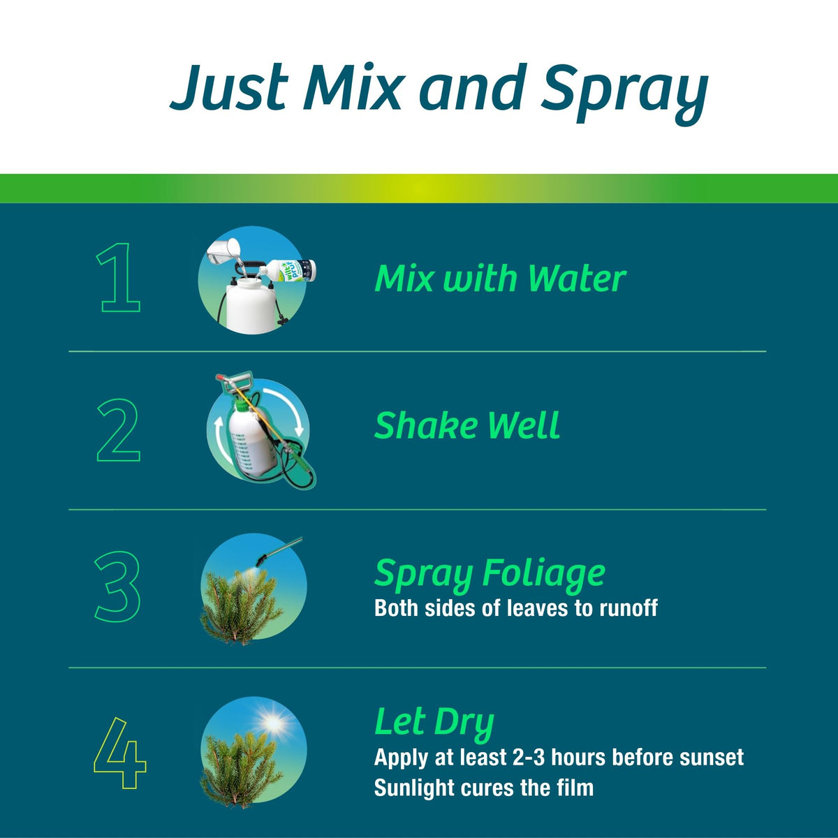 Wilt-Pruf Concentrate on pumpkins seals cut surfaces to keep freshness.