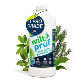 Wilt-Pruf Concentrate bottle applying winter protection spray on evergreens to guard against damage.