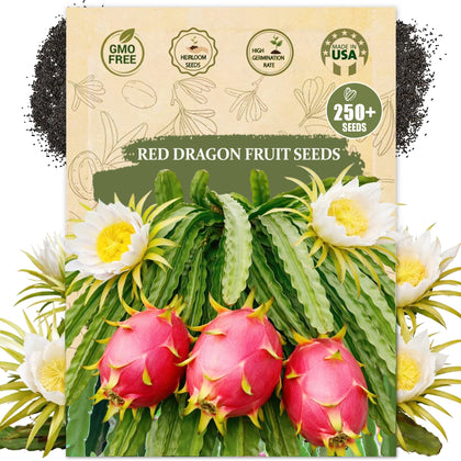 Wily Fox dragon fruit seeds packet front, ideal for home gardeners seeking heirloom tropical fruit projects.