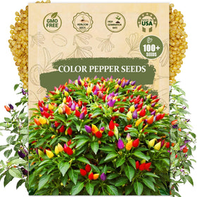 Wily Fox five-color pepper seeds packet ready for planting and gifting