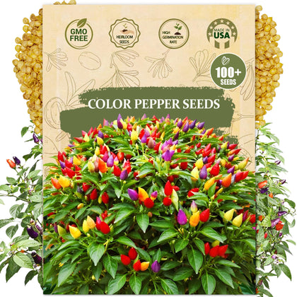Wily Fox five-color pepper seeds packet ready for planting and gifting