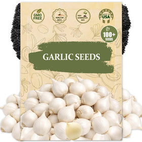 Wily Fox garlic seeds close-up highlighting heirloom open-pollinated quality for vibrant home harvests.