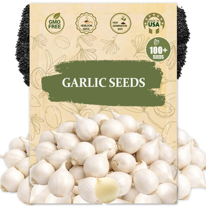 Wily Fox garlic seeds close-up highlighting heirloom open-pollinated quality for vibrant home harvests.