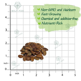 Wily Fox persimmon seeds in soil ready for planting