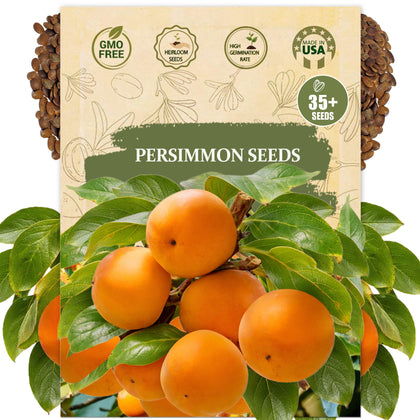 Wily Fox Persimmon Seeds packaging for home gardeners and seed starters