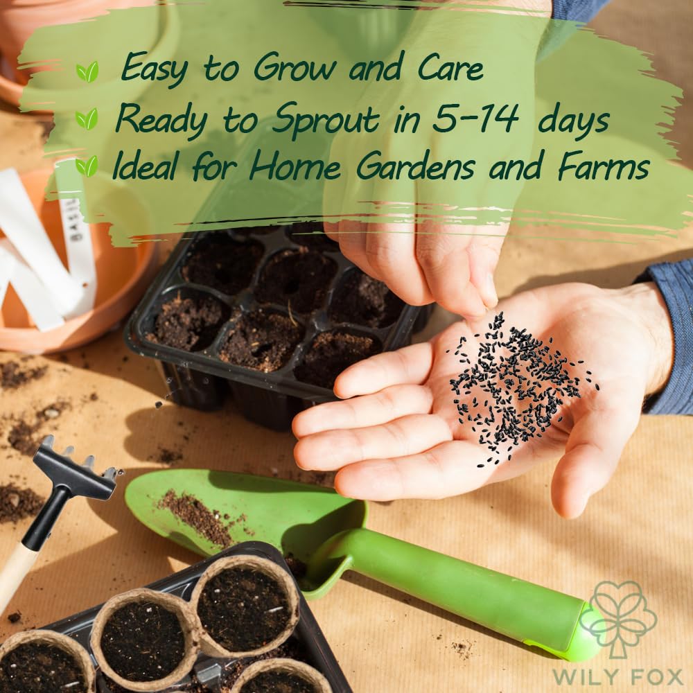 Wily Fox potted herb garden setup showing container-friendly toothache plant growth.