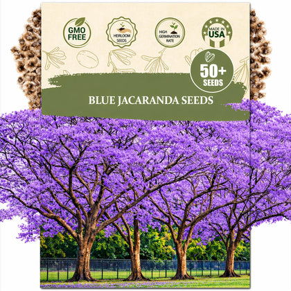 Wily Fox Premium Blue Jacaranda seeds packet for home planting and long-term landscaping.