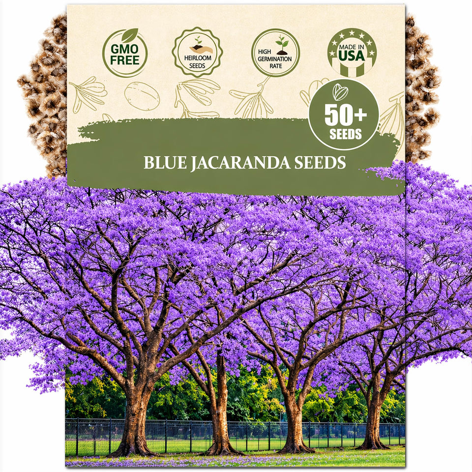 Wily Fox Premium Blue Jacaranda seeds packet for home planting and long-term landscaping.