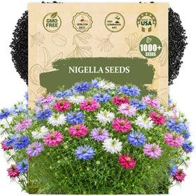 Wily Fox premium nigella seeds packet close-up for cottage garden borders