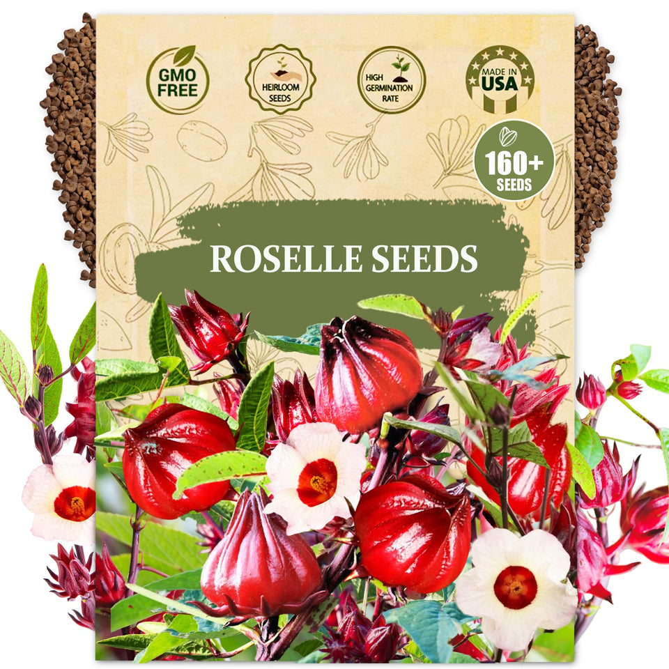 Wily Fox Premium Roselle Seeds package ready for planting and growth