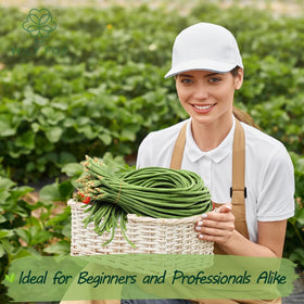 Wily Fox yard-long bean seeds package set up for fresh, flavorful stir-fries.