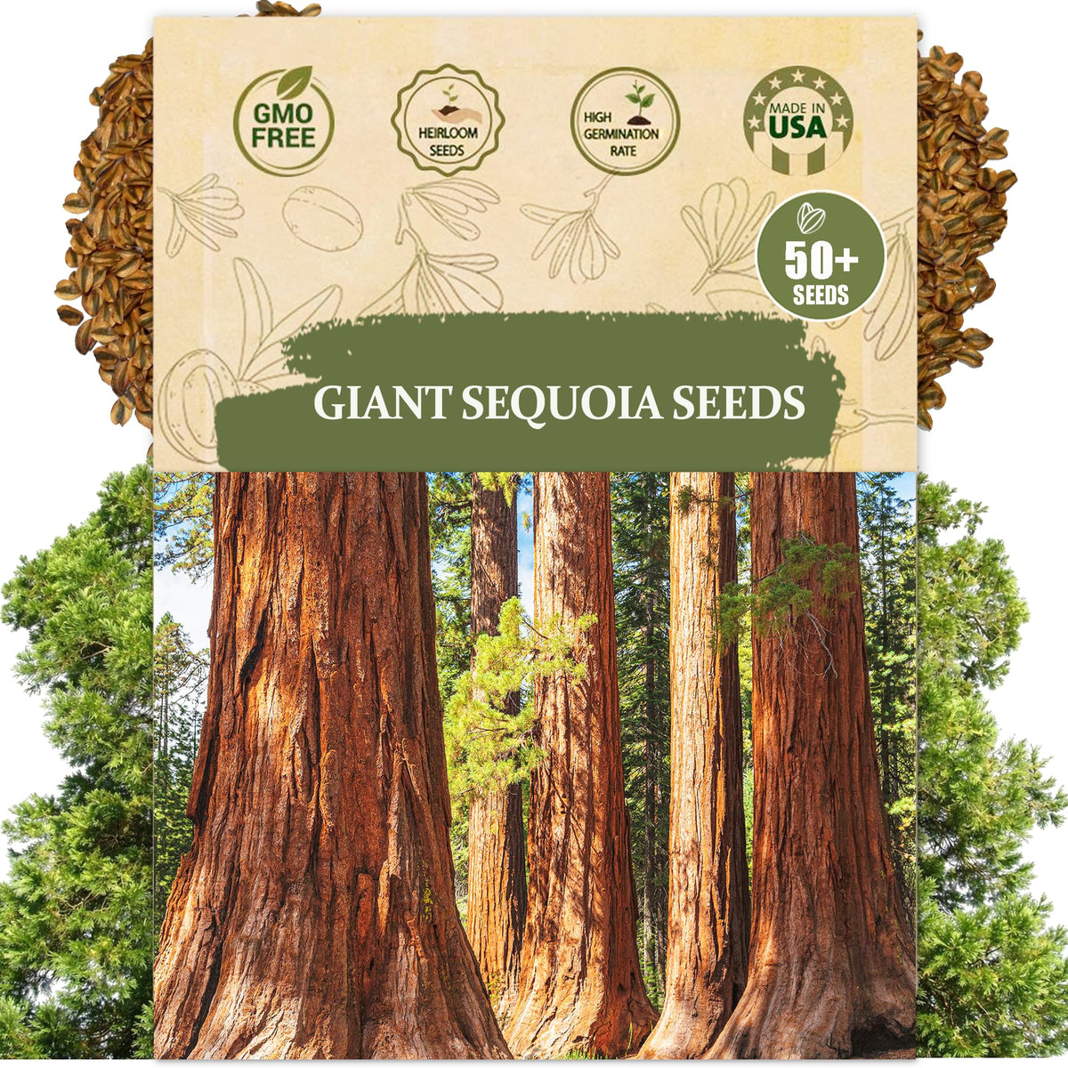 Wily Fox giant sequoia seeds pack for home planting and storage