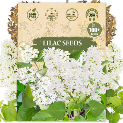 Wily Fox Lilac seeds packaging shown for easy at-home planting.