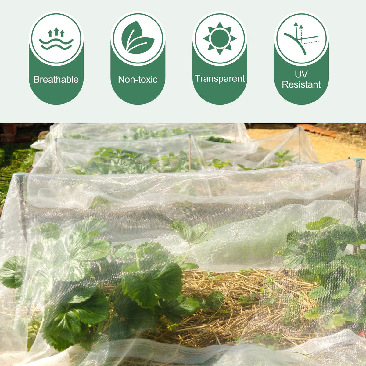 WiMas 10x33ft netting offers flexible sizing for raised beds and orchards
