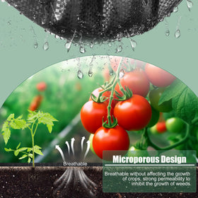 WiMas UV resistant landscape fabric shown outdoors resisting sun exposure.