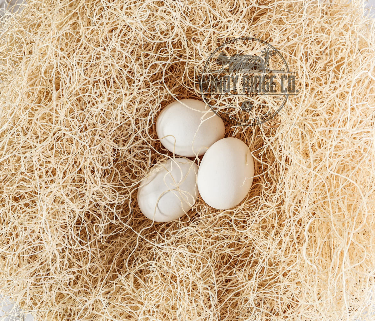 Windy Ridge Co. nesting pad with eggs on pad emphasizes easier egg gathering.
