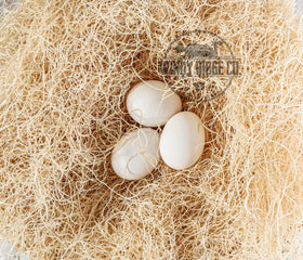 Windy Ridge Co. nesting pad with eggs on pad emphasizes easier egg gathering.