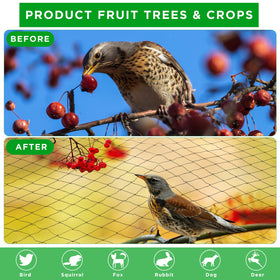 Windyun aviary netting on a cage with 2.4-inch mesh.