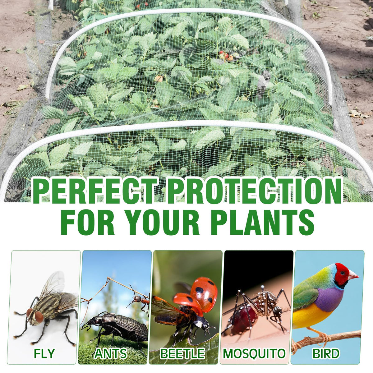 Windyun UV and frost-proof garden netting protects outdoor crops.