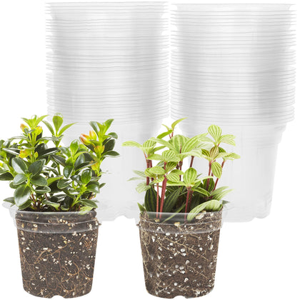 Winemana 4-inch seed starter pot with clear design for easy root observation.