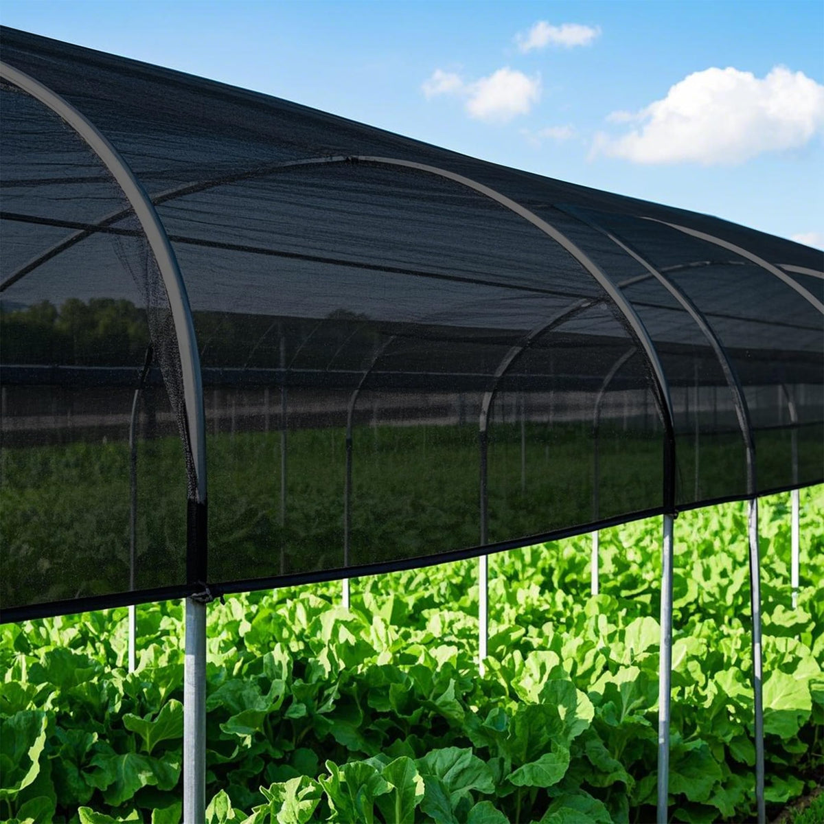Winemana patio shade cloth creates cooler outdoor spaces for relaxing and entertaining.