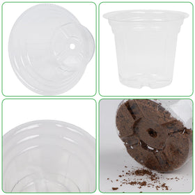 Winemana drainage holes support healthy root growth and proper watering.