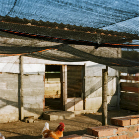 Winemana durable shade netting made of polyethylene withstands sun, wind, and rain.