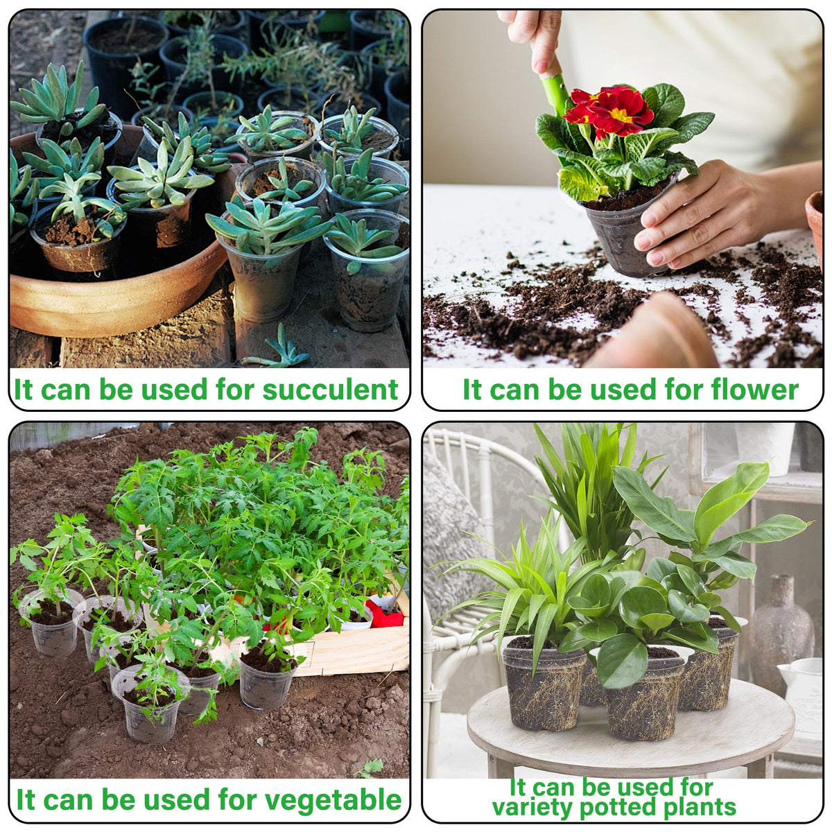 Winemana easy-carry seed starting kit for versatile gardening setups.