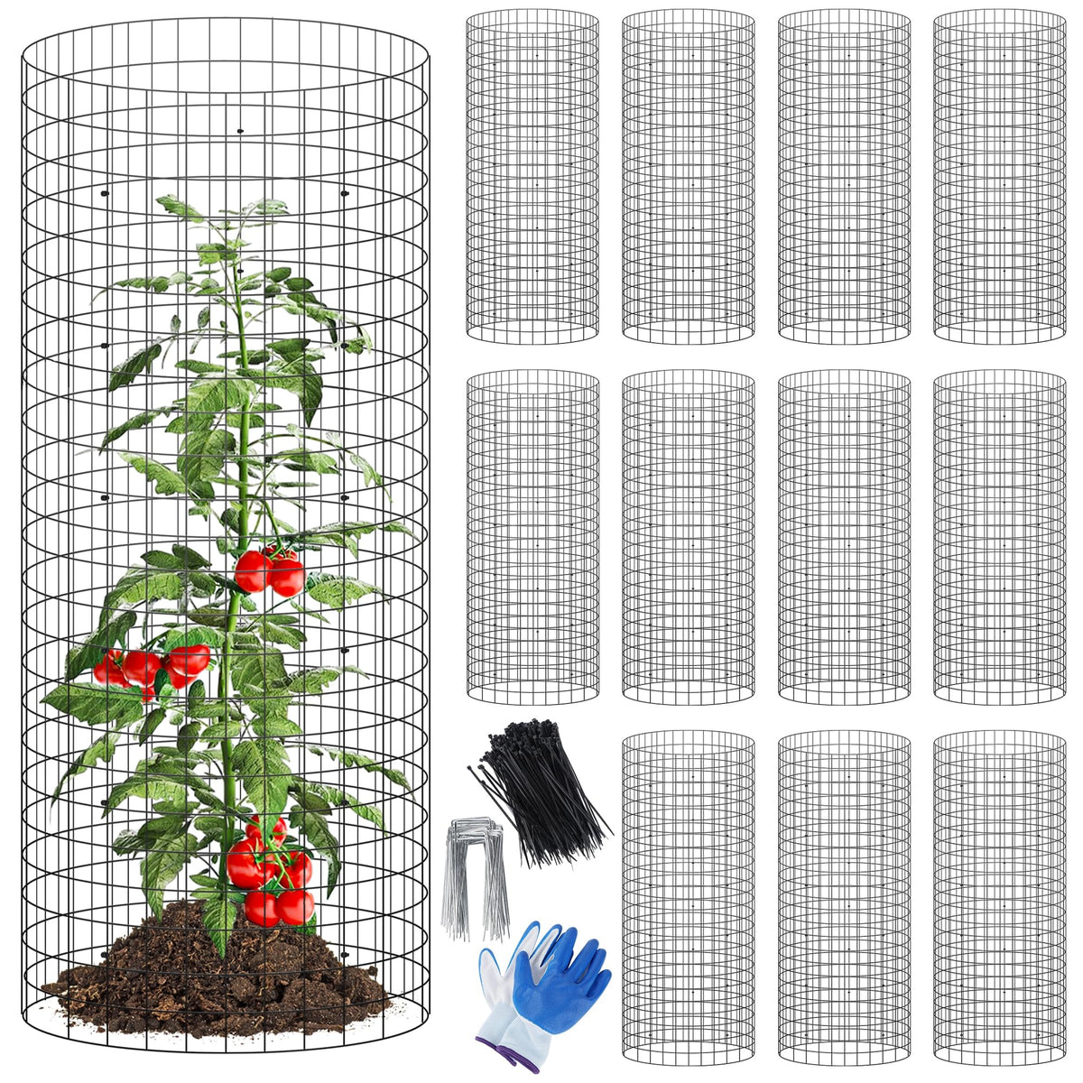 Winemana garden cage 24x12 assembled protecting vegetables from rabbits