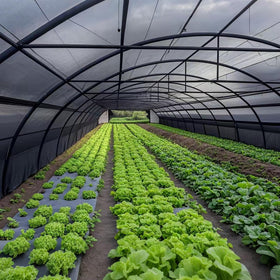 Winemana large shade net protects pets and poultry outdoors.