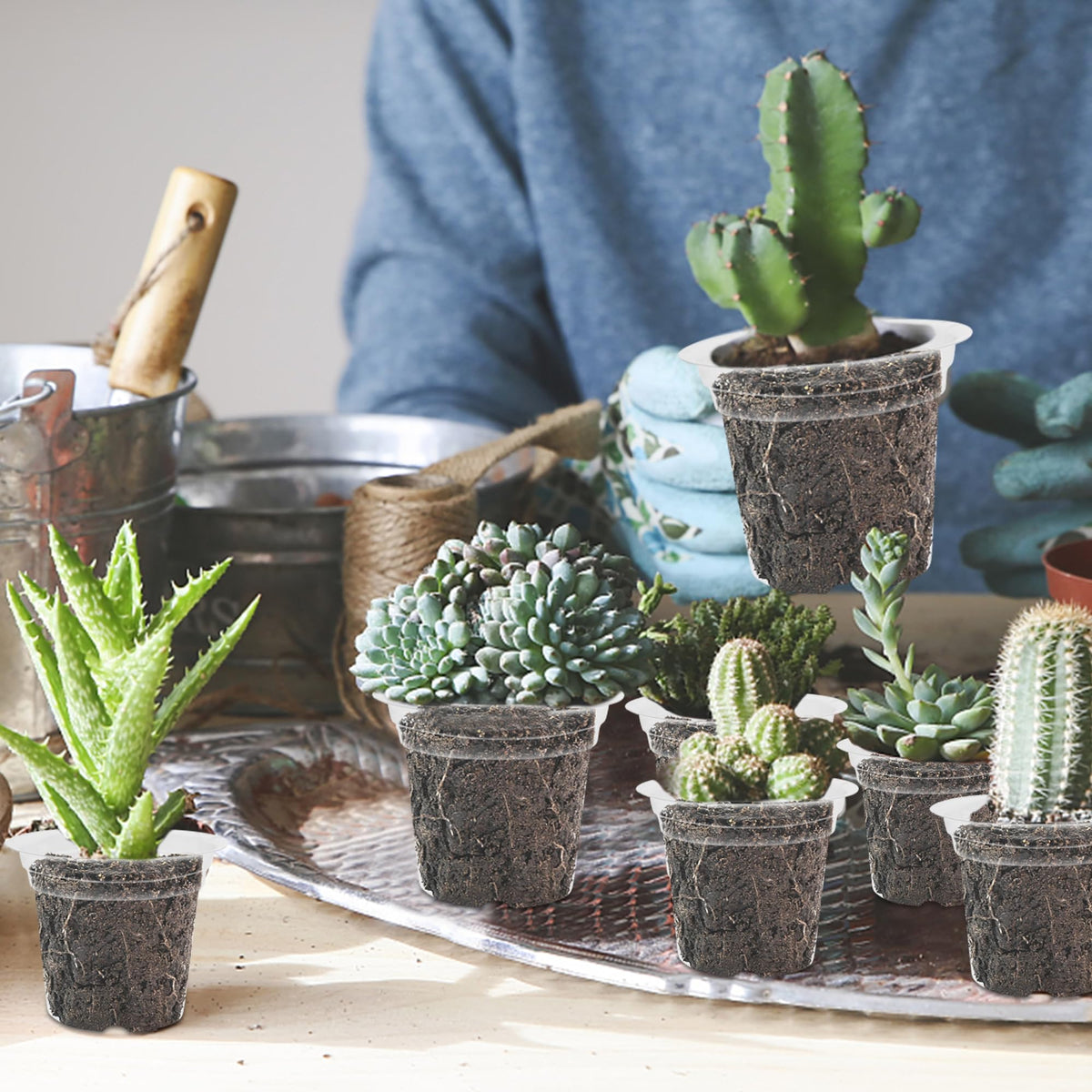 Winemana lightweight pot suitable for indoor and outdoor seed starting.
