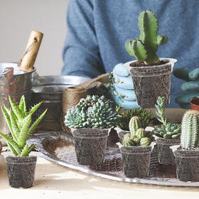 Winemana lightweight pot suitable for indoor and outdoor seed starting.