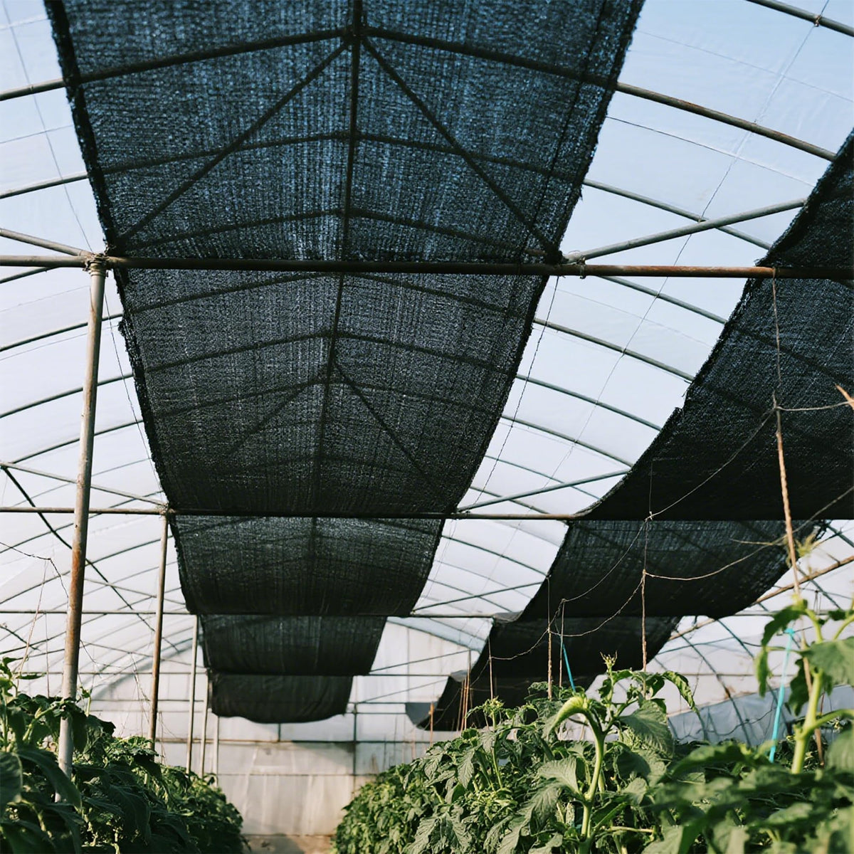 Winemana multi-purpose sun protection cloth for patio, farm, or job sites.
