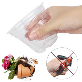 Winemana transparent pot enables sunlight exposure for robust seedlings.