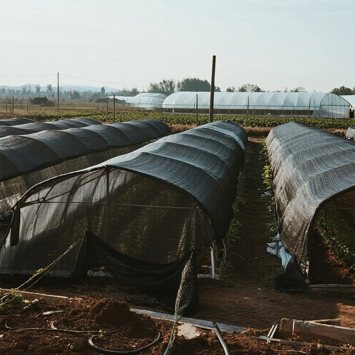 Winemana wide garden cover suits large rows and flexible shade setups.
