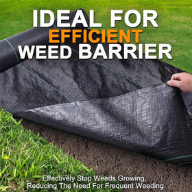 Winisok weed barrier fabric with green stripes for planting alignment
