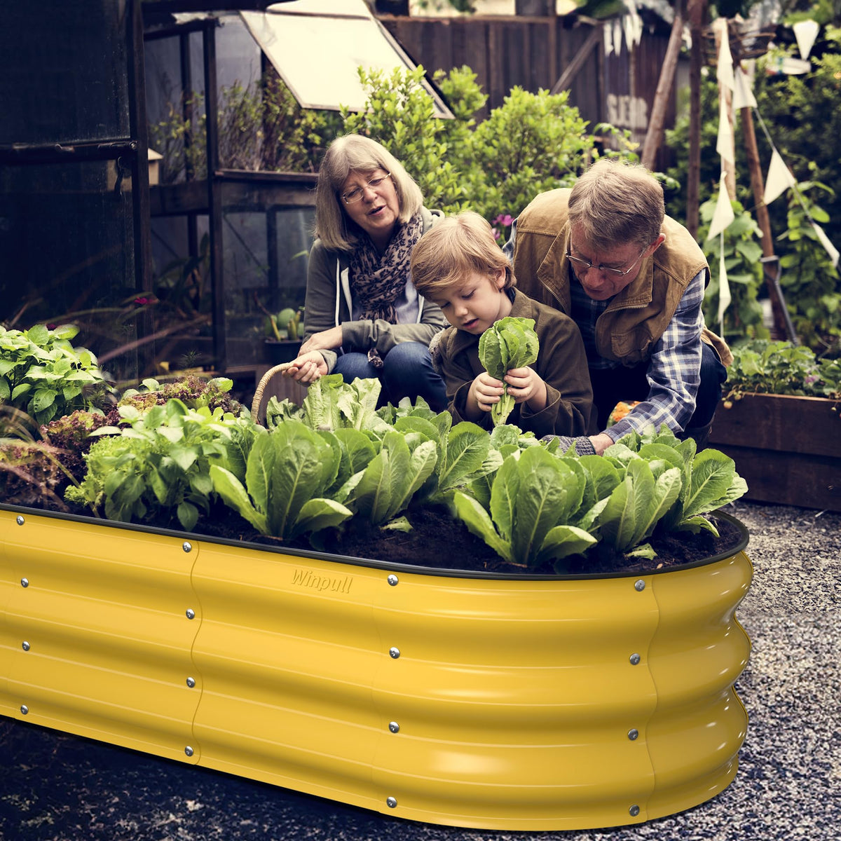 Winpull cream yellow oval bed complements outdoors.