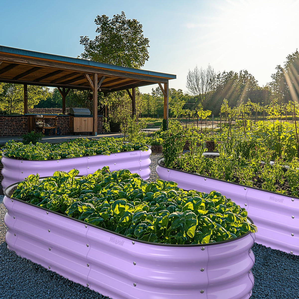 Outdoor setup of Winpull Provence Purple raised bed in a garden