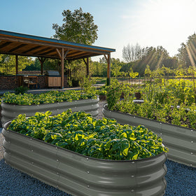 Winpull outdoor garden setup keeps carrots beans and cabbages organized.