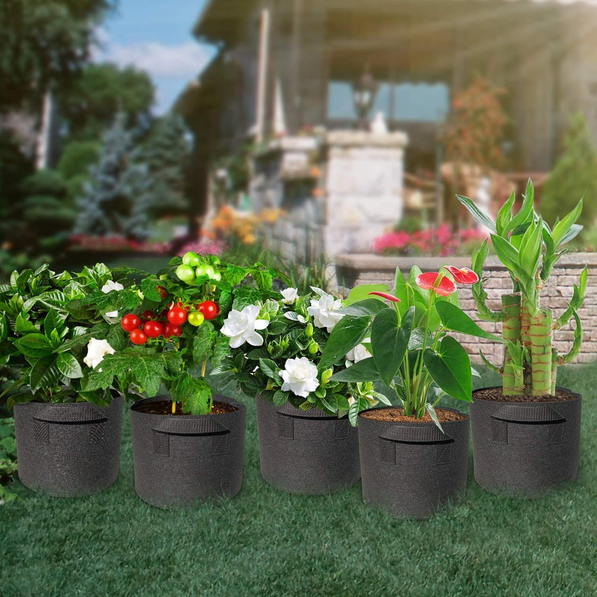 WIRETRAN grow bags with invisible side handles for easy plant relocation.