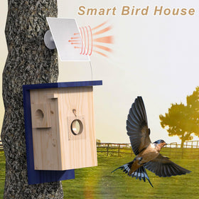WisdomRainbow Birdhouse Camera eco-friendly pine wood blend.