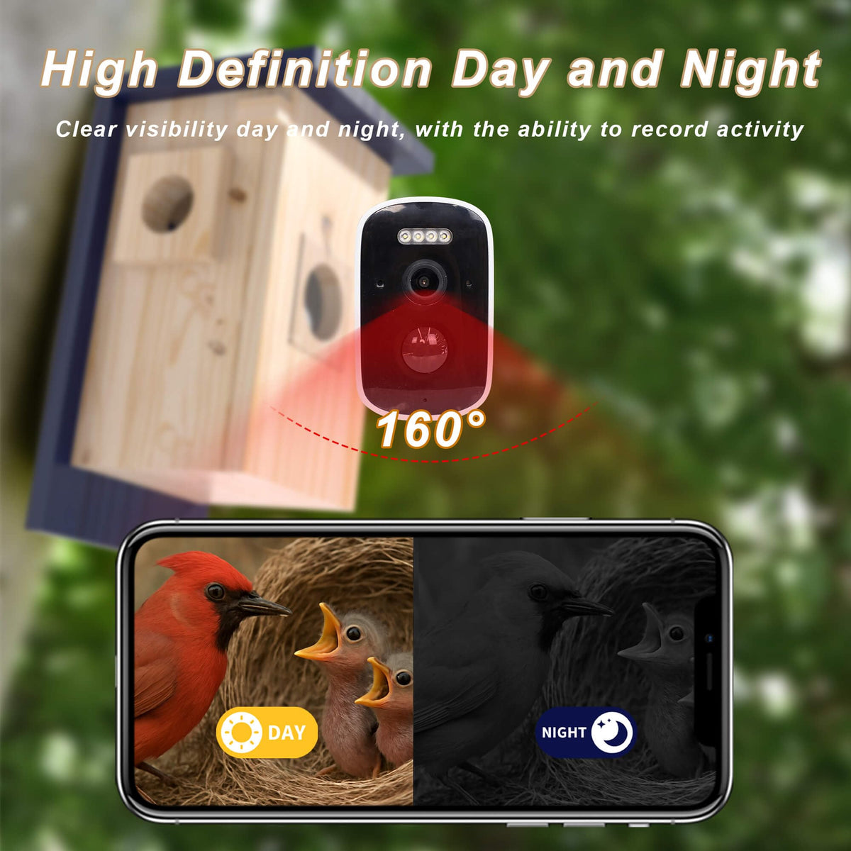 WisdomRainbow Birdhouse Camera motion detection with bird arrival alerts.