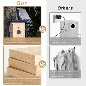 WisdomRainbow Birdhouse Camera night vision for after-dark bird observation.