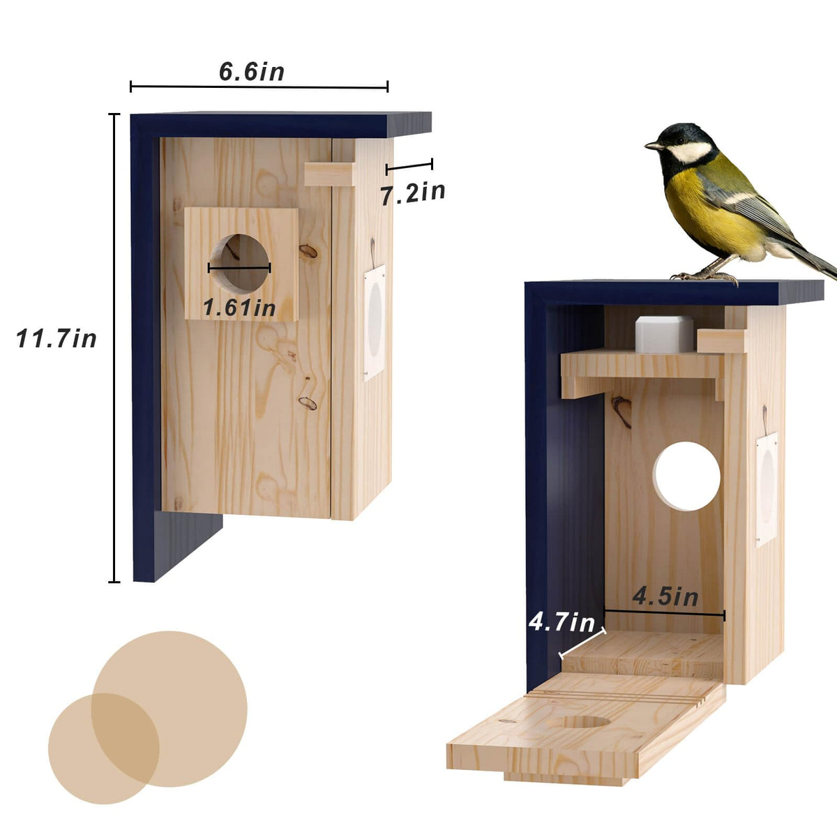 WisdomRainbow Birdhouse Camera solar panel enables silent, energy-efficient installation.